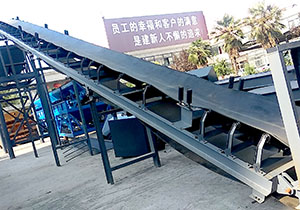 WBZ800�ȶ������վ(ͼ3)